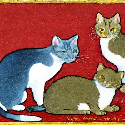 Коллекция котов